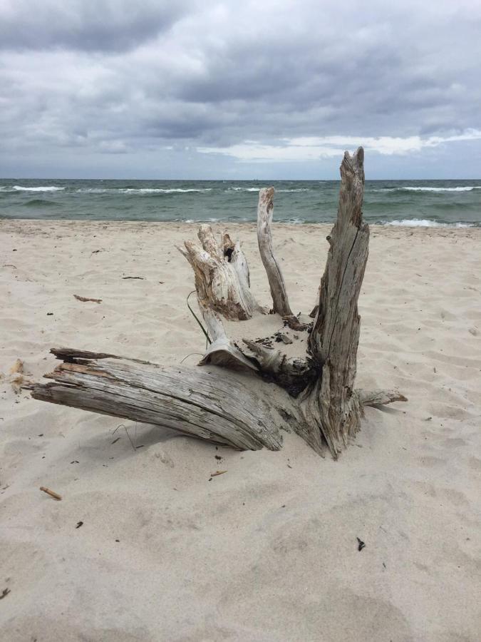 Ferienwohnung Düne Ostseebad Boltenhagen Exterior foto